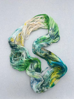 ONE POT WONDER NR.1354